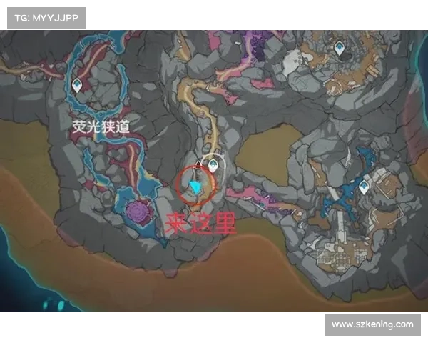 探索鹤观岛的奇遇与奥秘揭示原神隐藏的世界秘密 探索鹤观岛的奇遇与奥秘揭示原神隐藏的世界秘密