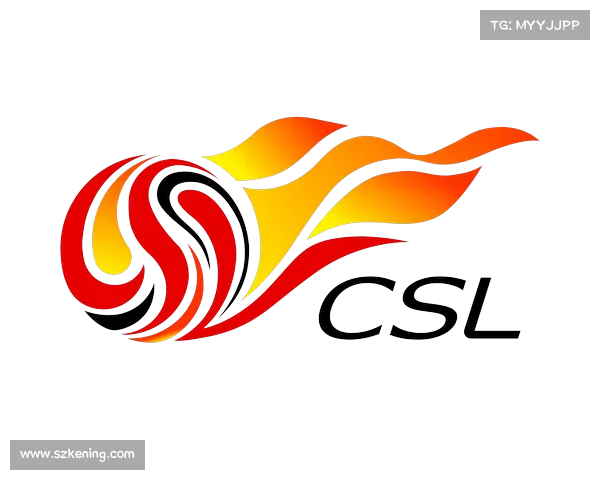 如何区分足协与队徽的不同作用与意义解析